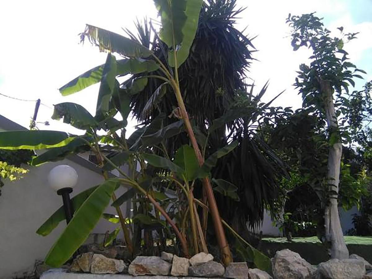 Aragorn Paradise Garden Moraitika Exterior foto