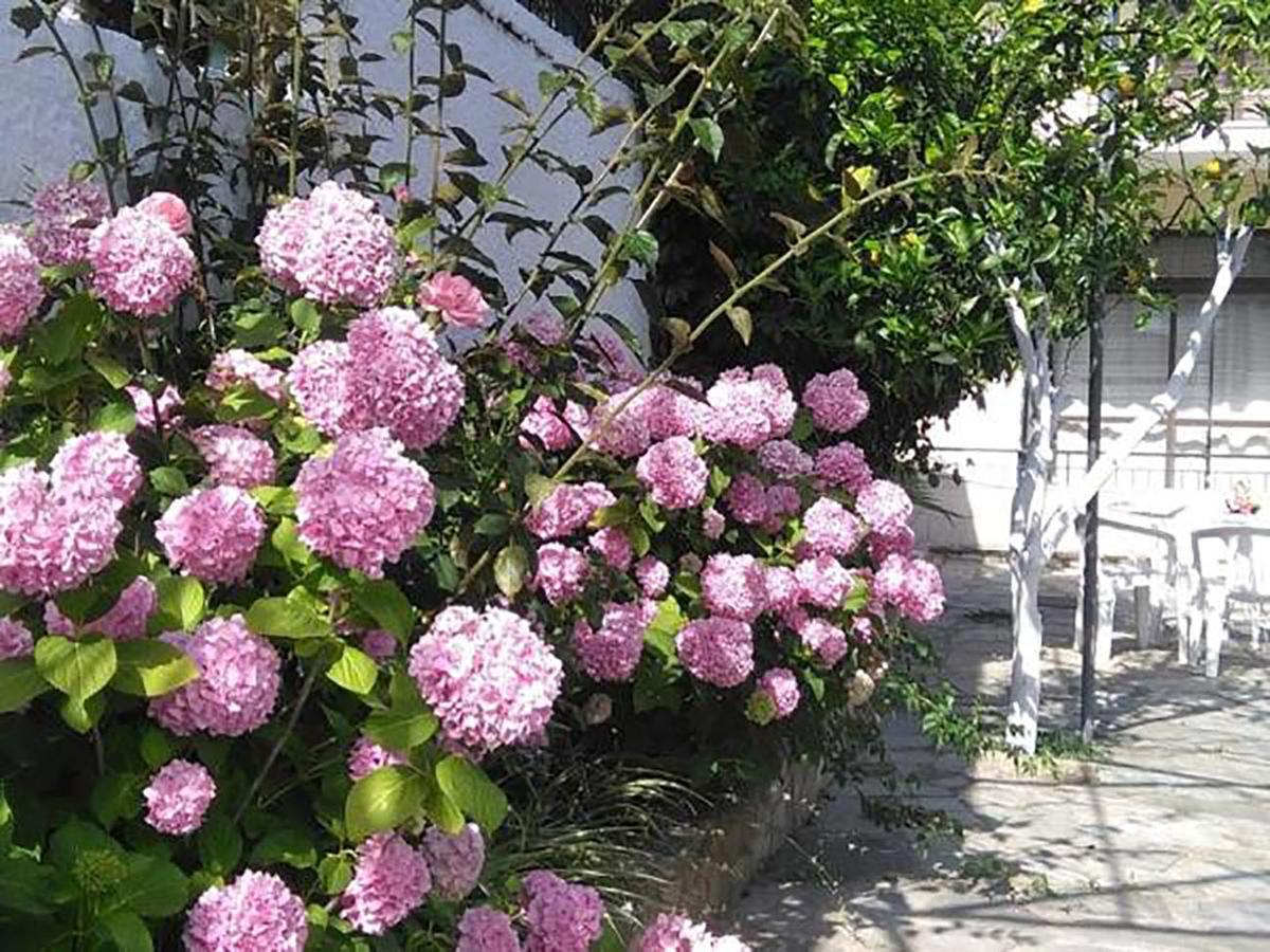 Aragorn Paradise Garden Moraitika Exterior foto